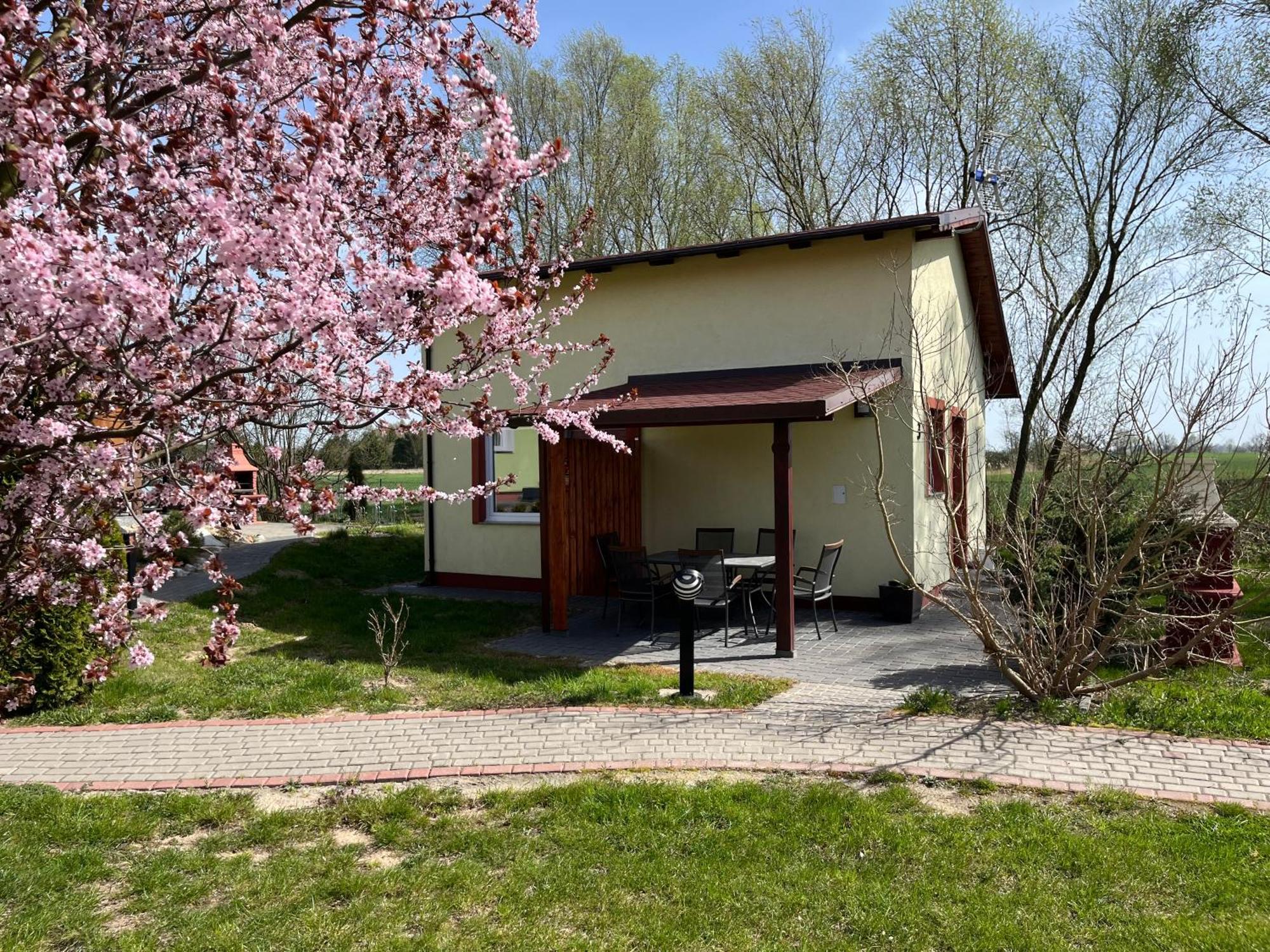 Pokoje Goscinne A.A.Malinowscy Stegna  Esterno foto